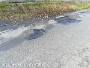 La strada provinciale Nepesina