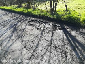 La strada provinciale Nepesina