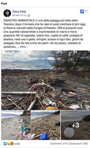 Il post di Piero Pelù per ripulire la spiaggia della Feniglia