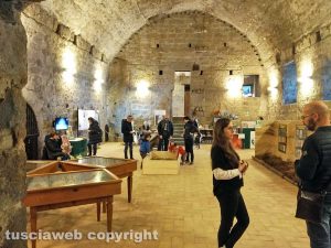 Viterbo - L'Era glaciale a palazzo dei Papi