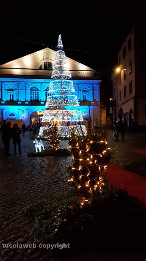 Viterbo - L'albero a piazza del Teatro