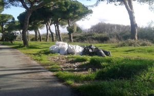 Montalto Marina - Rifiuti abbandonati