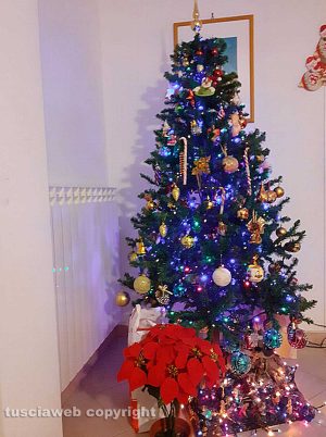 Latera - Albero di Natale a casa Migliaccio