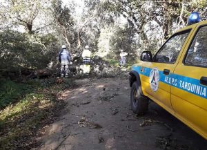 Tarquinia - I volontari dell'Aeopc in azione