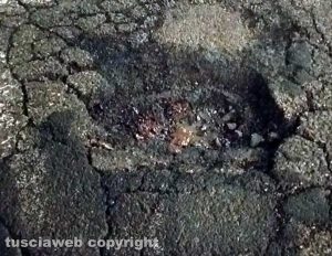 Buche e tombini intasati