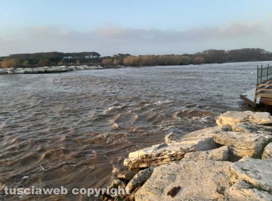 Montalto di Castro - Il fiume Fiora alla marina di Montalto