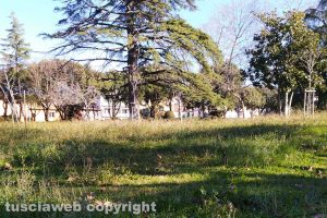 Viterbo - Incuria a Pratogiardino