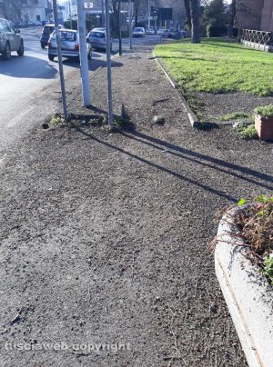 Viterbo - Il guano degli storni in via Diaz