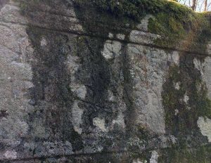 Monumenti rupestri etrusco-romani 