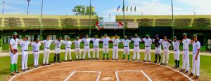 WiPlanet Baseball - La squadra