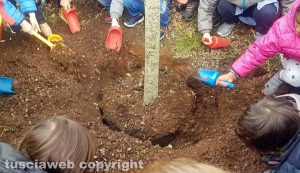 "Festa dell'albero"