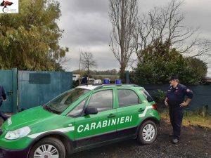 Castel Sant'Elia - I carabinieri forestali sul posto