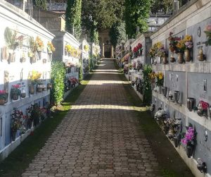Il cimitero di Ischia di Castro