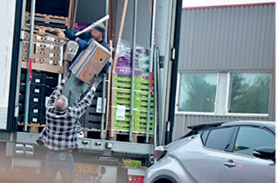 Operazione Eurojust - La droga trasportata sui camion per la frutta