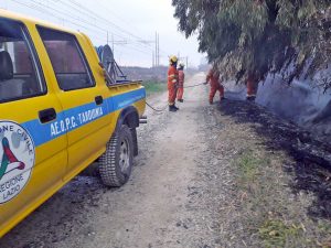 Tarquinia - L'incendio domato dai volontari Aeopc