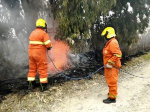 Tarquinia - L'incendio domato dai volontari Aeopc