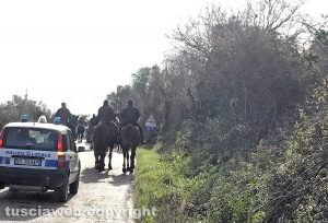 Tuscania - Strada bloccata dai cavalli per la benedizione di sant'Antonio