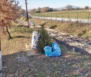 Fabrica di Roma - Immondizia abbandonata sul ceppo di Simone Gianfelici