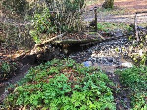 Villa San Giovanni in Tuscia - Il sito naturalistico La Scuffiacia nel degrado