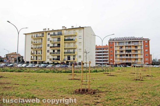 Viterbo - Il bosco urbano in via Consolini