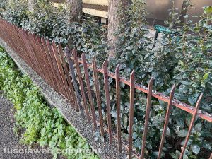 Il guano in via NIno Bixio