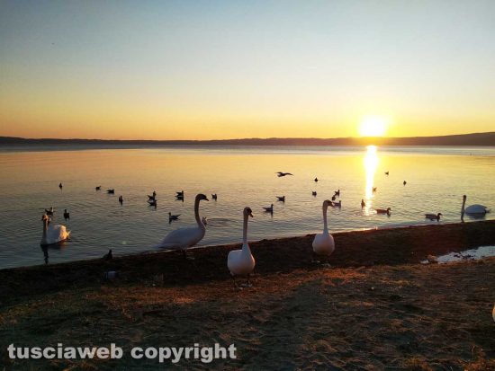 Tramonto sul lago di Trevignano 