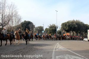 La sfilata degli animali per sant'Antonio