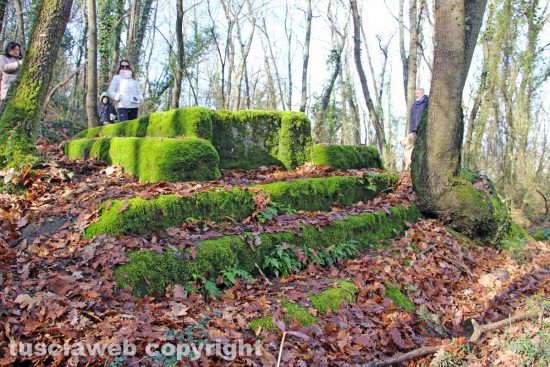 Bassano in Teverina - Una tomba nel bosco