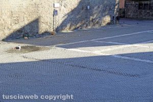 Viterbo - La deformazione in piazza San Lorenzo