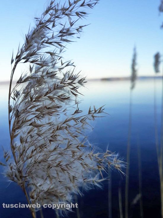 Inverno sul lago di Bolsena - Foto di Arianna Baccelloni