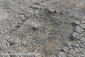 Viterbo - Buche al capolinea Cotral di Riello
