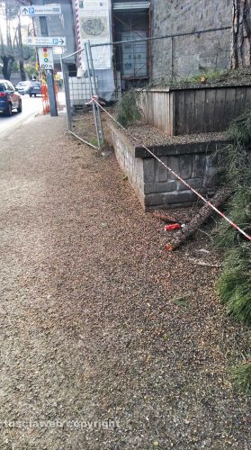 Viterbo - Fermata del bus di Porta Romana invasa dal guano