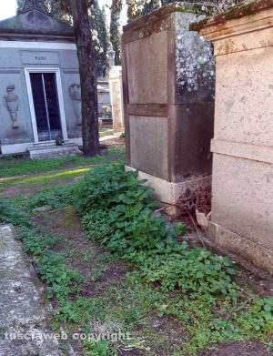 Le erbacce al cimitero
