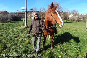 Montefiascone - I festeggiamenti per Sant'Antonio Abate