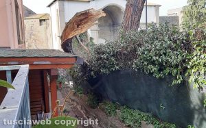 Viterbo - Rami caduti a via Armando Diaz