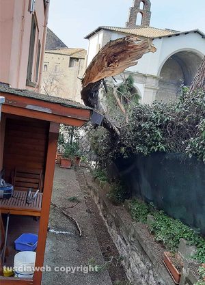 Viterbo - Rami caduti a via Armando Diaz