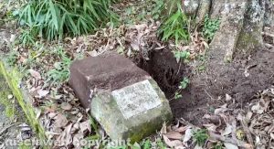 Proceno - Un cippo lapidario abbattuto