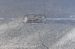 Viterbo - Un tombino in strada Acquabianca