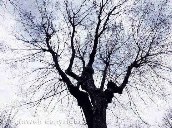 Luci d'inverno - Foto di Assunta Ricci