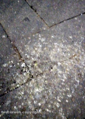 Guano di piccione a San Pellegrino