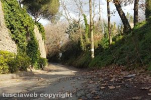 Viterbo - Buche lungo strada Ellera