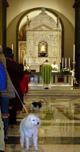 Benedizione degli animali in basilica