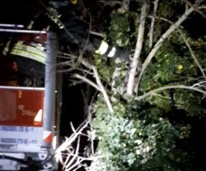 L'intervento dei vigili del fuoco per salvare il gattino 