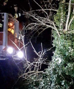 L'intervento dei vigili del fuoco per salvare il gattino 