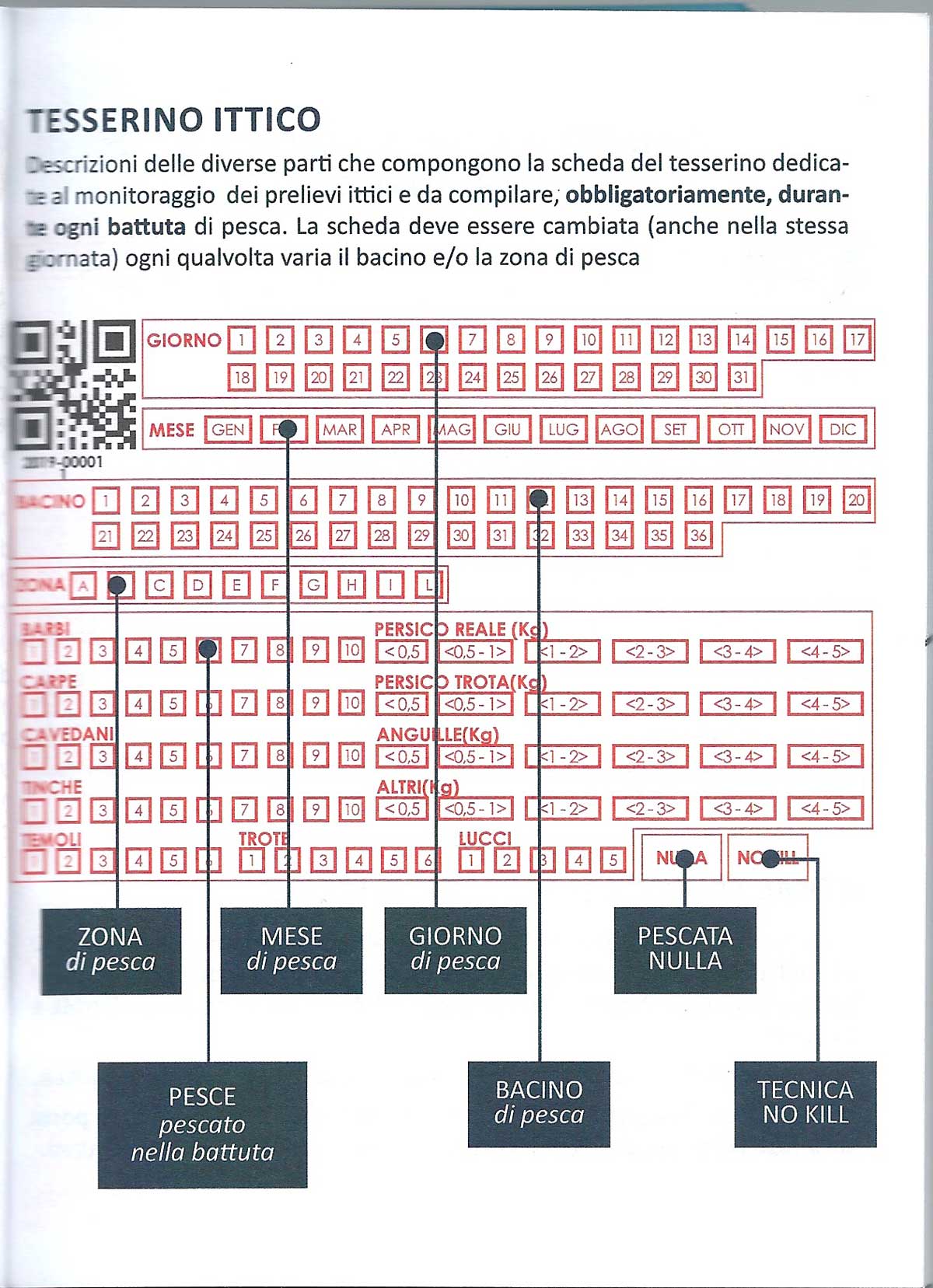 Indicatore Livello Carburante Per Auto - 12V, Diametro 57mm, Nero, IP65