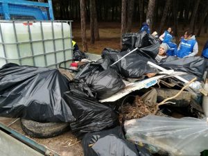 Un camion di rifiut raccolti sulla spiaggia da Fare verde