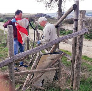 Tarquinia - La pulizia dell'acropoli etrusca