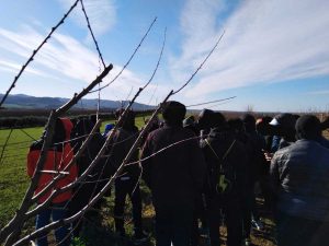 Seconda tappa delle visite didattiche dell'Iiss Cardarelli alle aziende