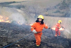 Tarquinia - Volontari dell'Aeopc in azione
