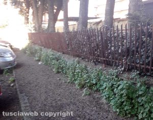 Viterbo - Il degrado in via Bixio 